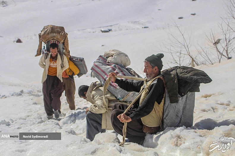 (تصاویر) کولبران کردستان